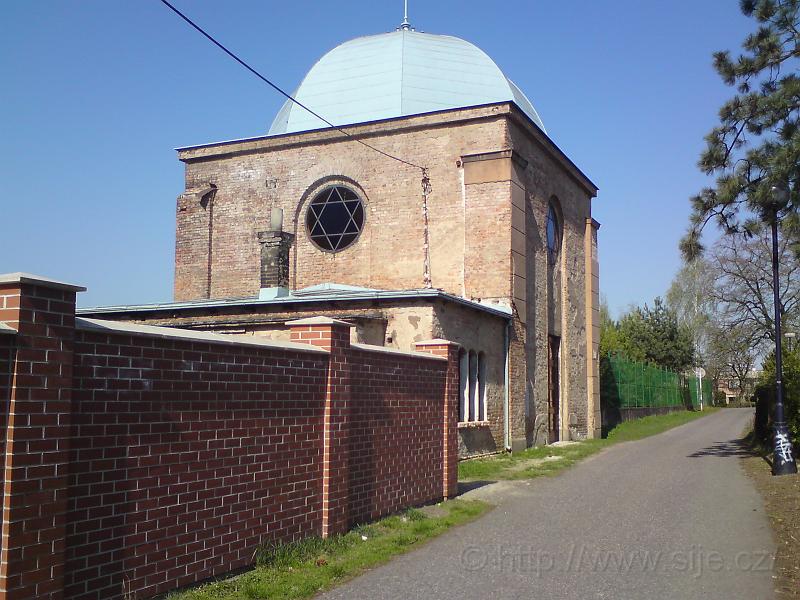 Synagoga u hřbitova