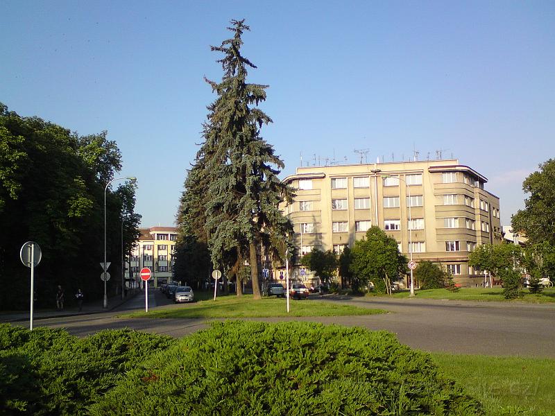 Ulice Šimkova