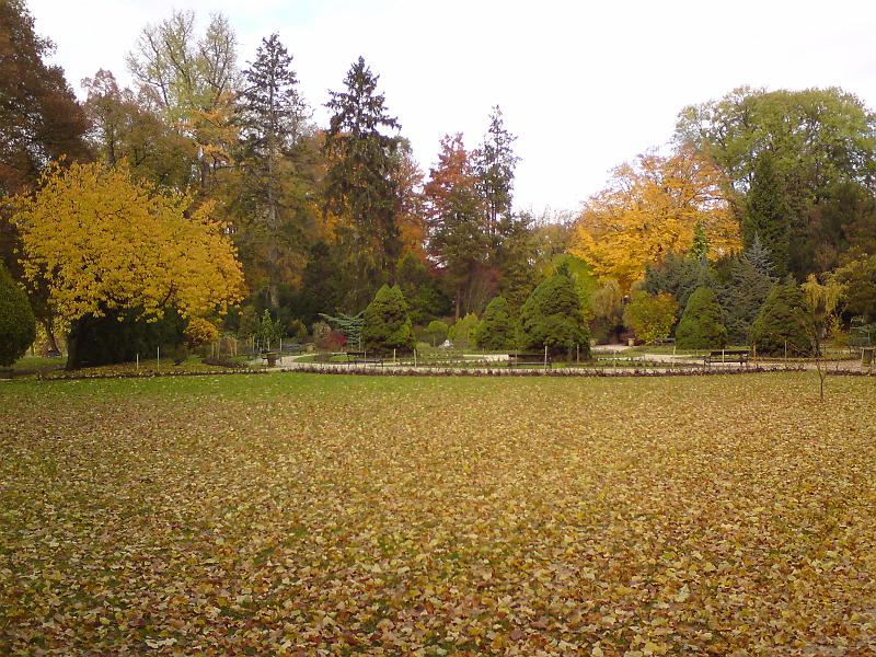 Padlé listí na podzim