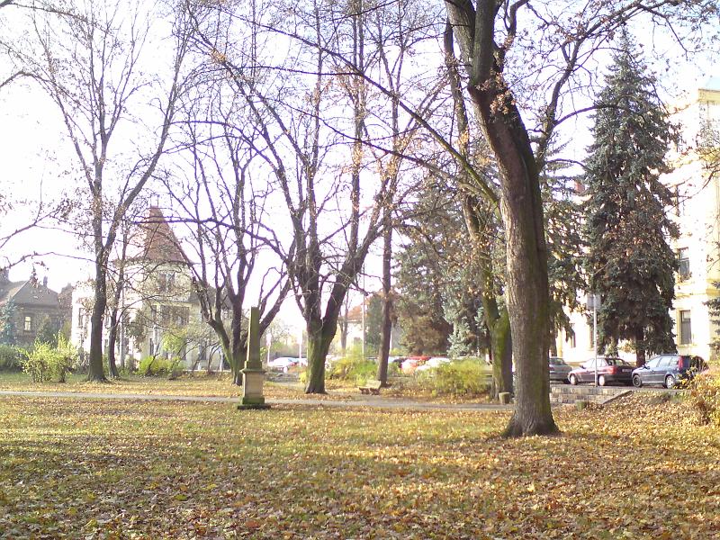 Podzim, sady Víta Nováka