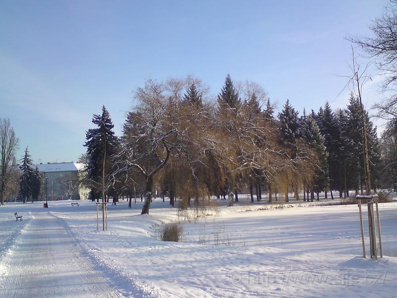 Šimkovy sady, centrum