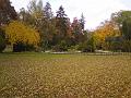 Padlé listí na podzim, Jiráskovy sady