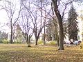 Podzim v sadech Víta Nováka