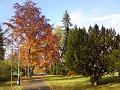 Podzimní barvy Kubištových sadů