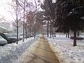 Chodník, Sukovy sady ve sněhu