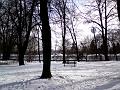 Lízátka přes zimní sady Víta Nováka