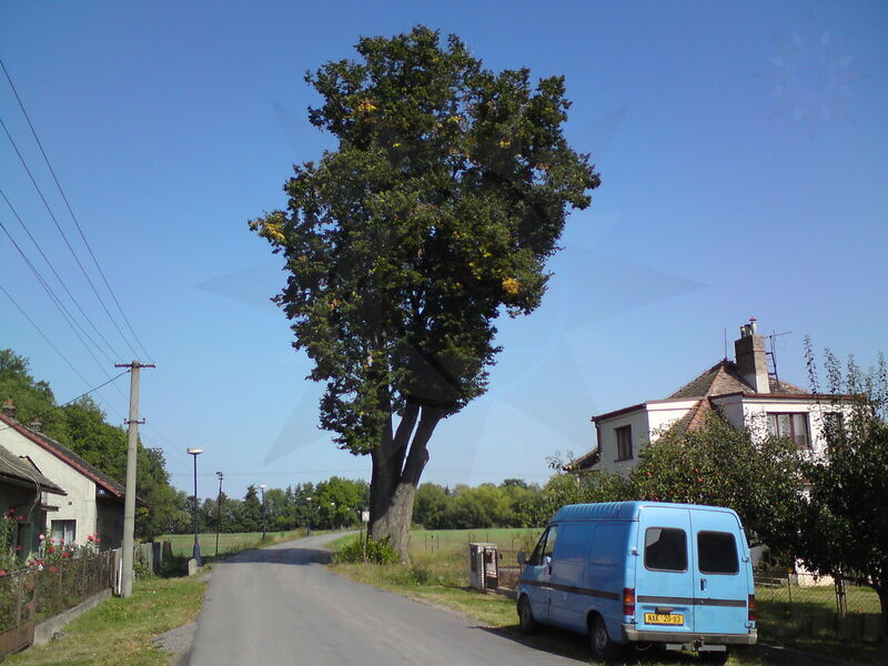 foto-3904.jpg
