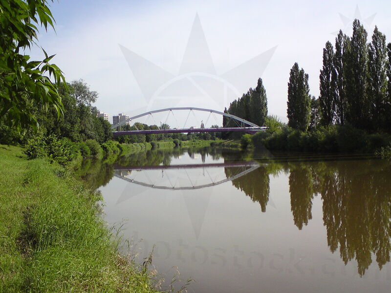 foto-2334.jpg