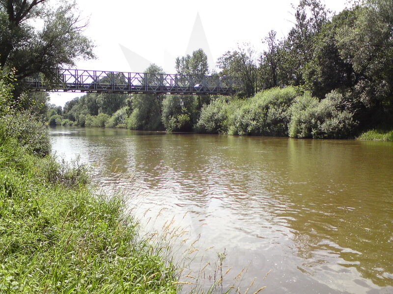 foto-2555.jpg