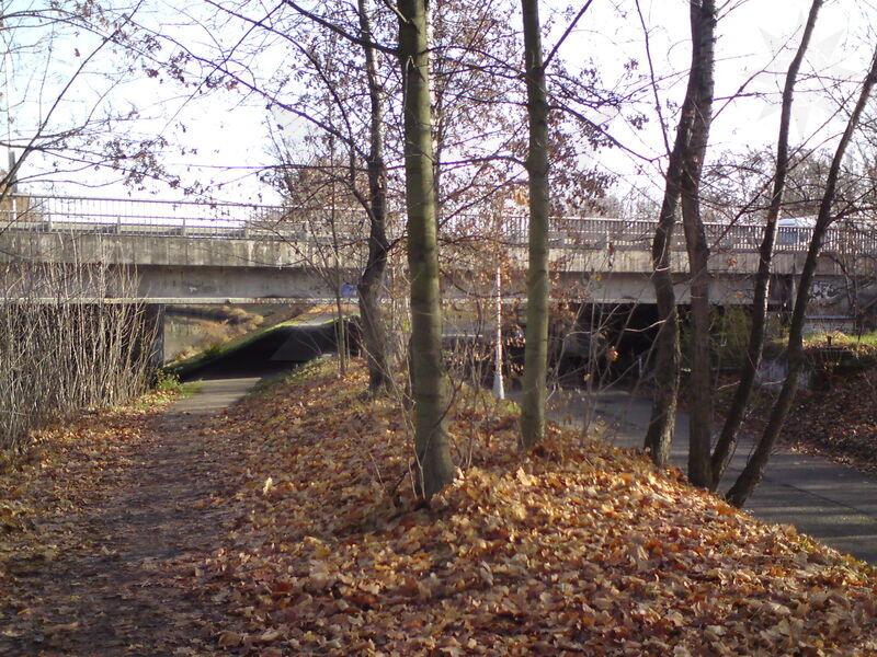 foto-5084.jpg