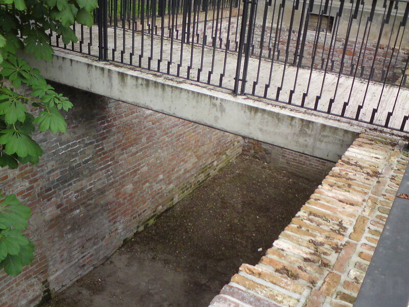 foto-1317.jpg
