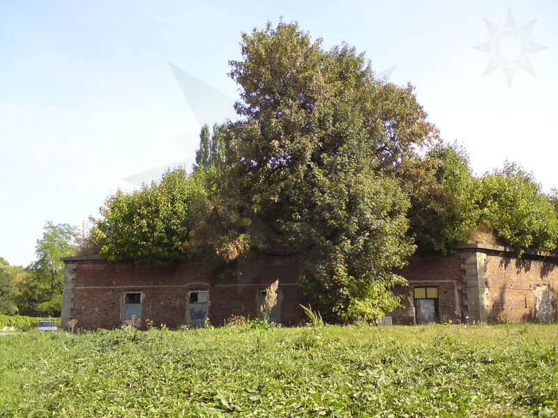 foto-4066.jpg