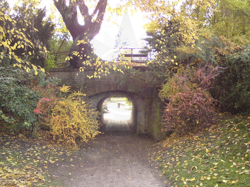foto-4719.jpg