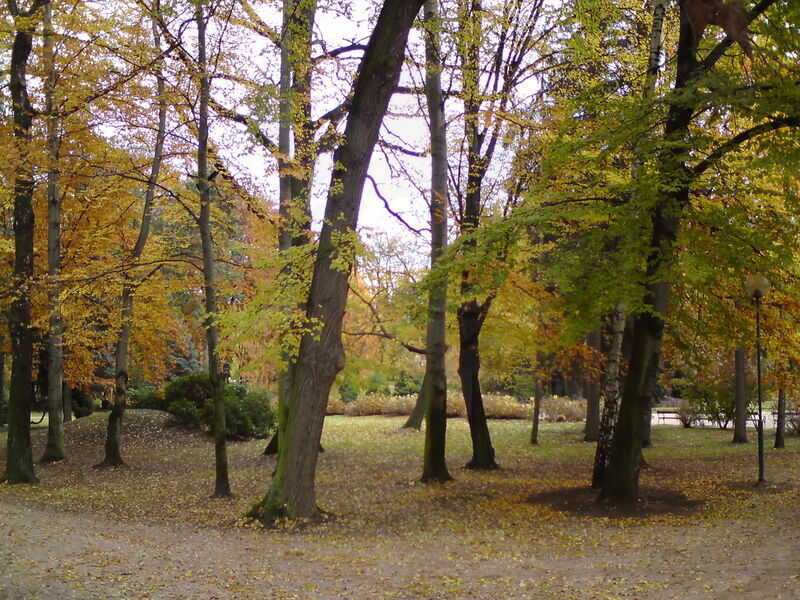 foto-4672.jpg