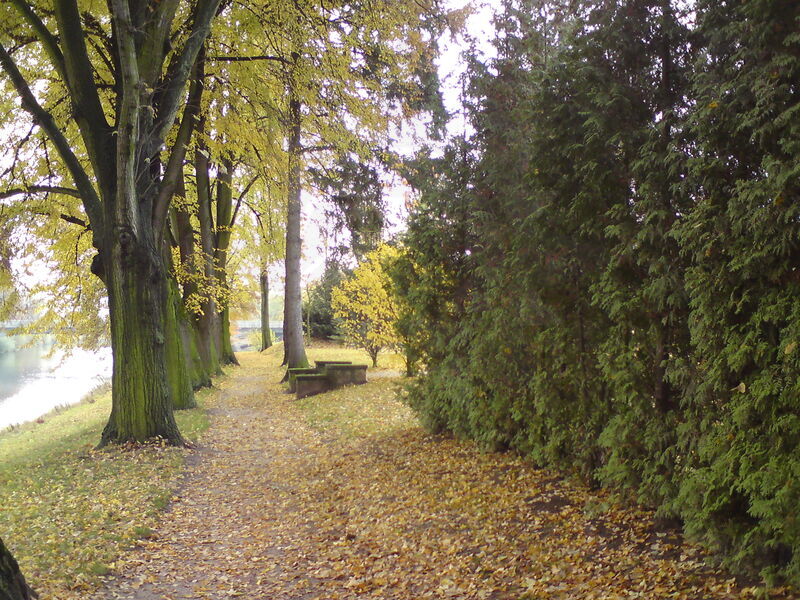 foto-4689.jpg