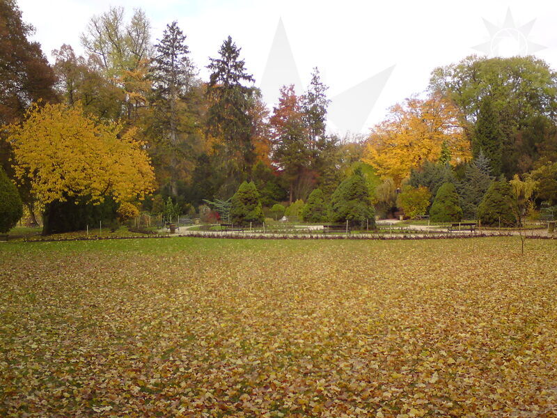 foto-4692.jpg