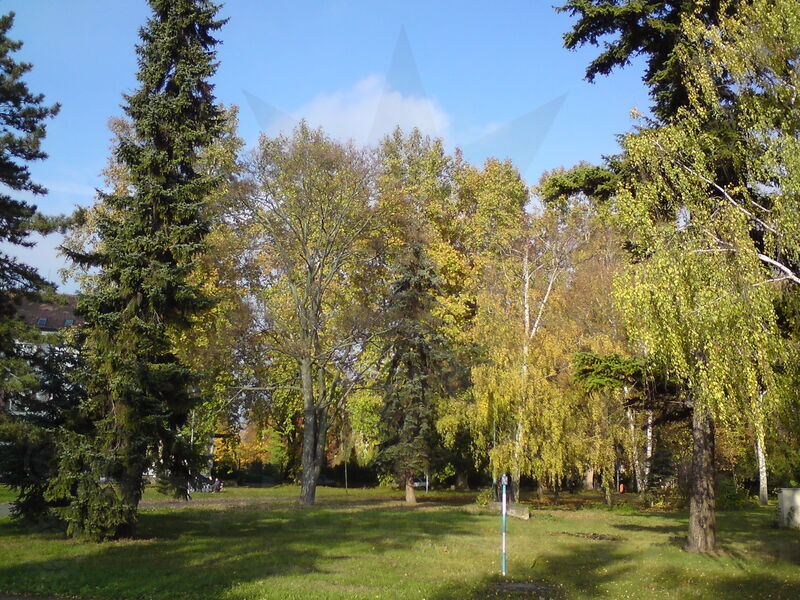 foto-4808.jpg