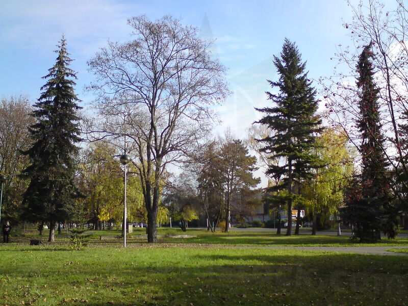 foto-4814.jpg
