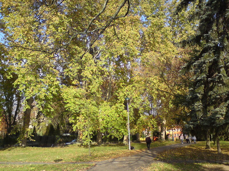 foto-4816.jpg