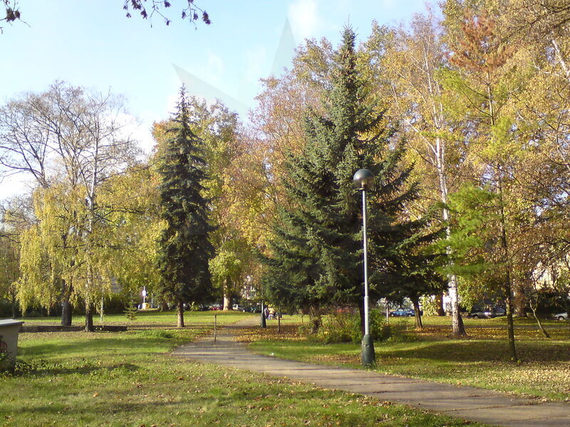 foto-4818.jpg