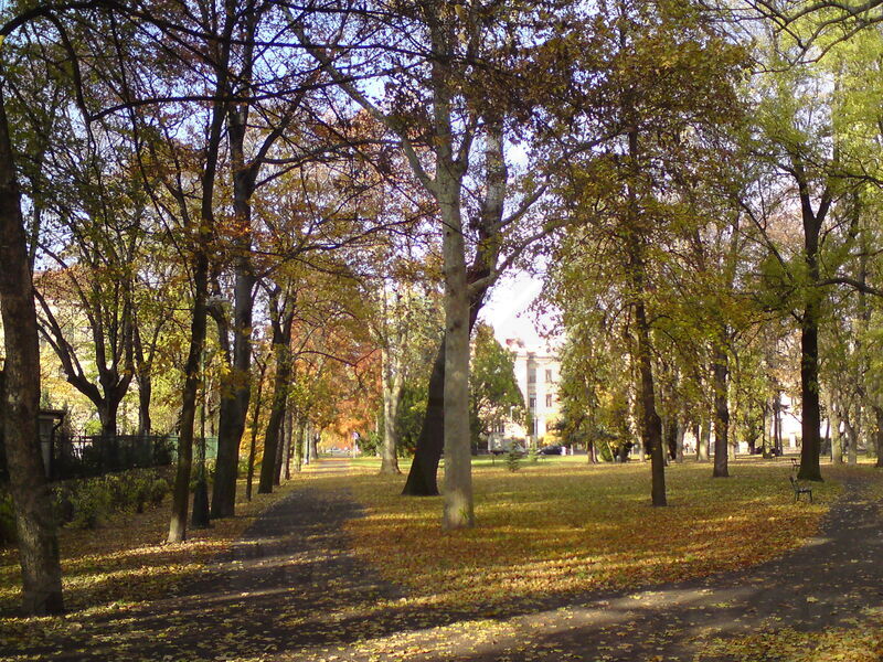 foto-4823.jpg