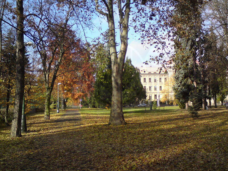 foto-4828.jpg