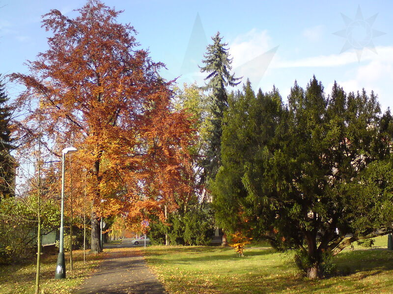foto-4829.jpg