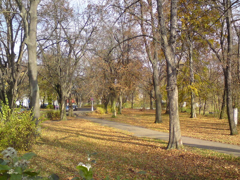 foto-4790.jpg
