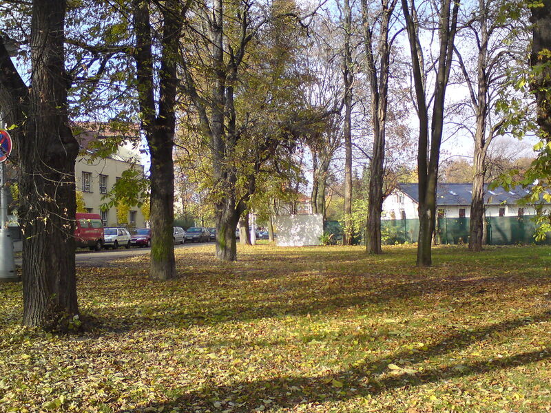 foto-4804.jpg