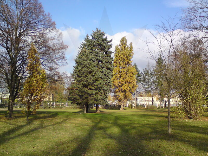 foto-4854.jpg