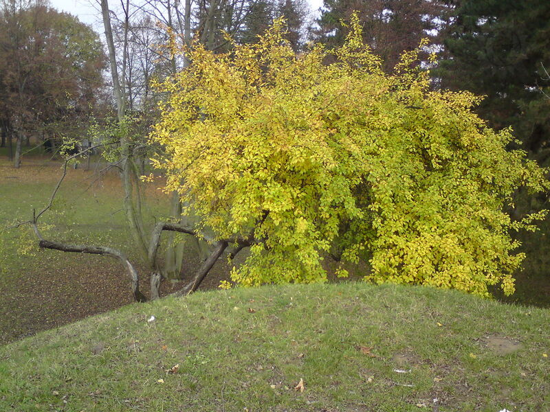 foto-4864.jpg