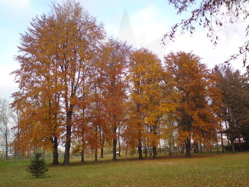 foto-4865.jpg