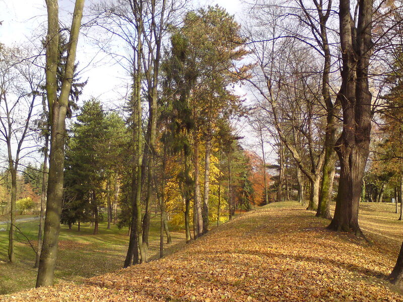 foto-4866.jpg