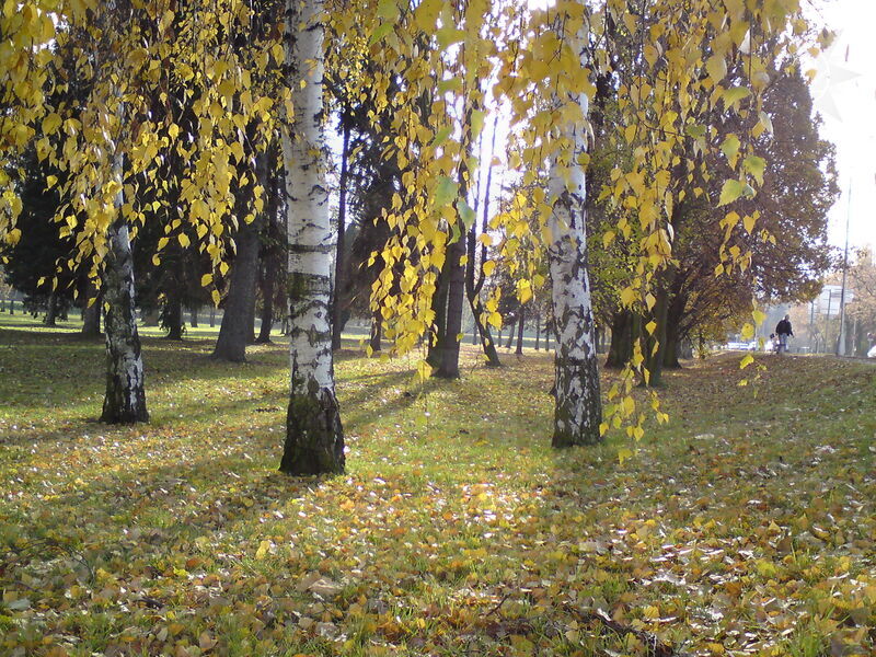 foto-4880.jpg