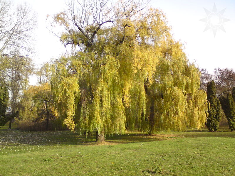 foto-4883.jpg