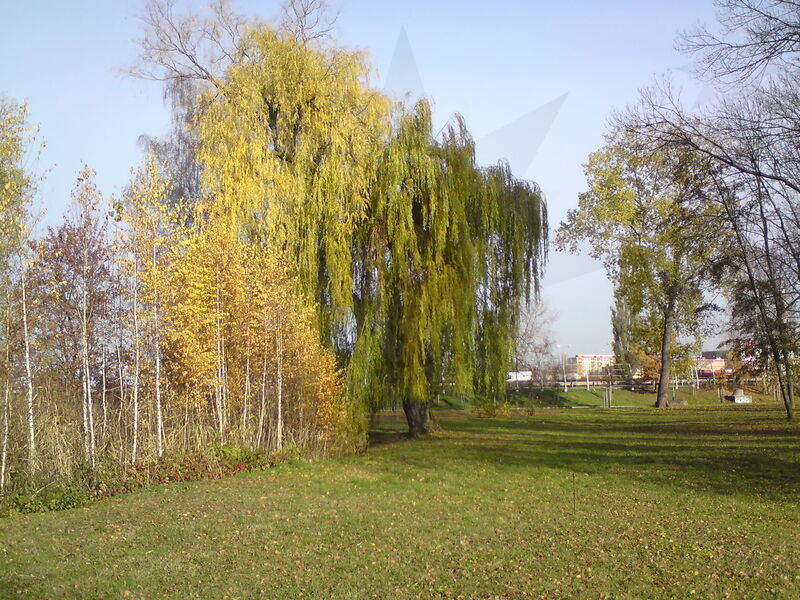 foto-4885.jpg