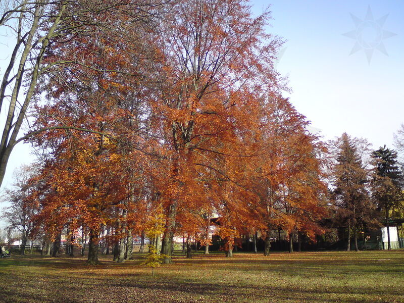 foto-4886.jpg