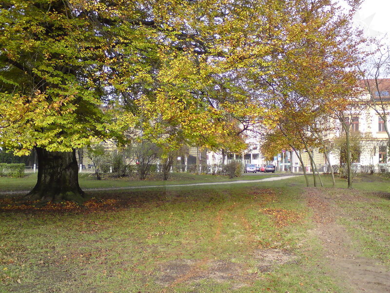 foto-4656.jpg