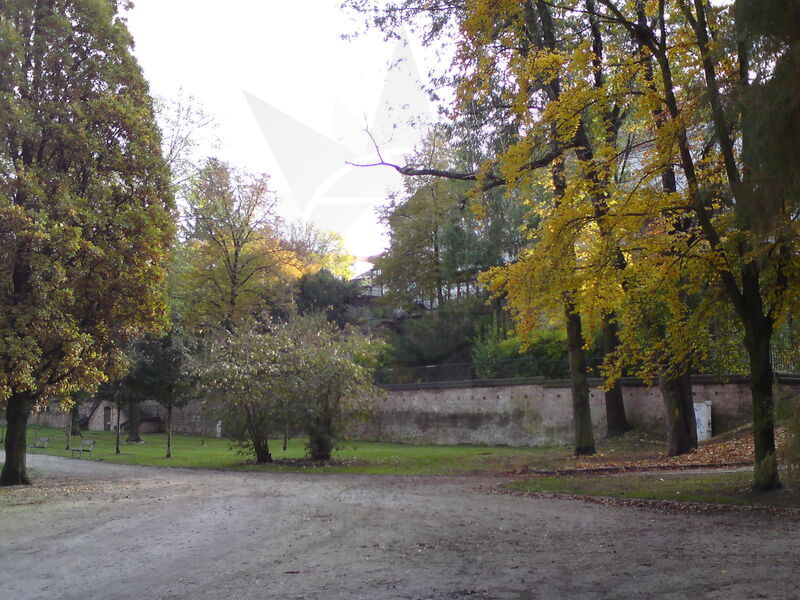 foto-4659.jpg
