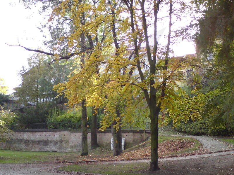 foto-4660.jpg
