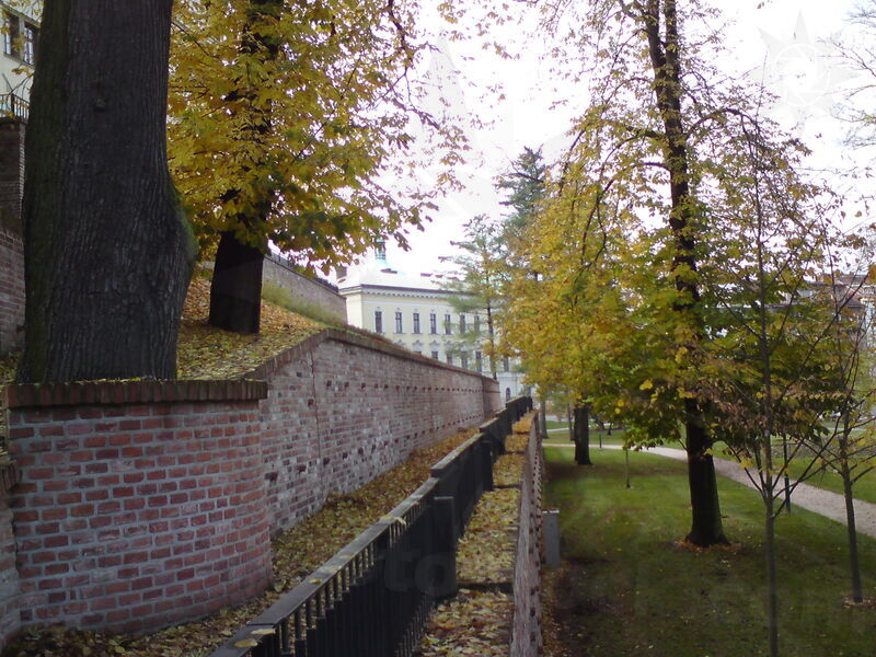 foto-4664.jpg
