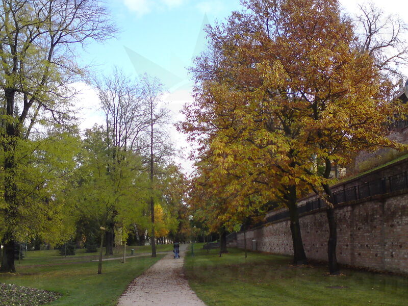 foto-4667.jpg