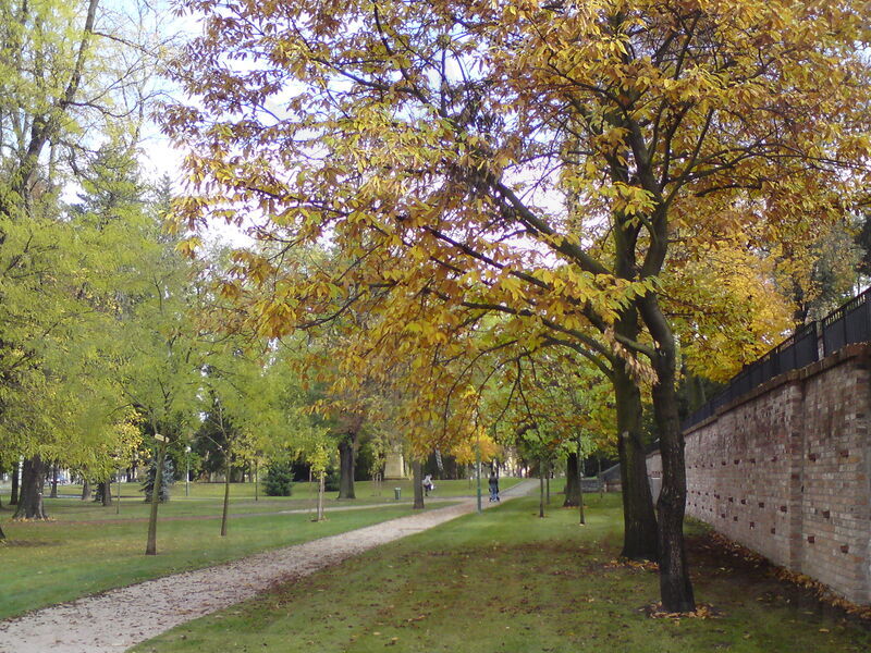 foto-4668.jpg