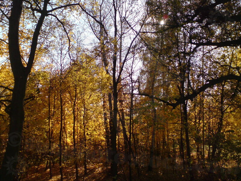 foto-0003.jpg