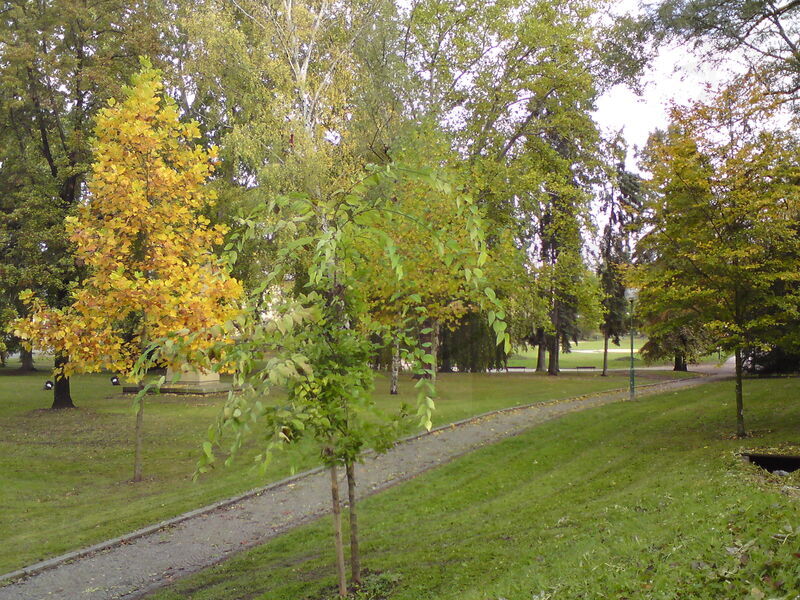foto-4663.jpg
