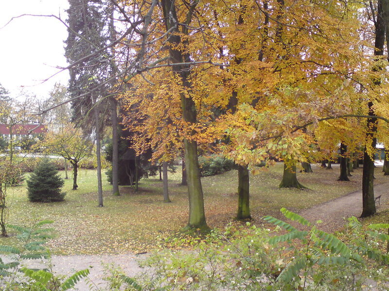 foto-4669.jpg