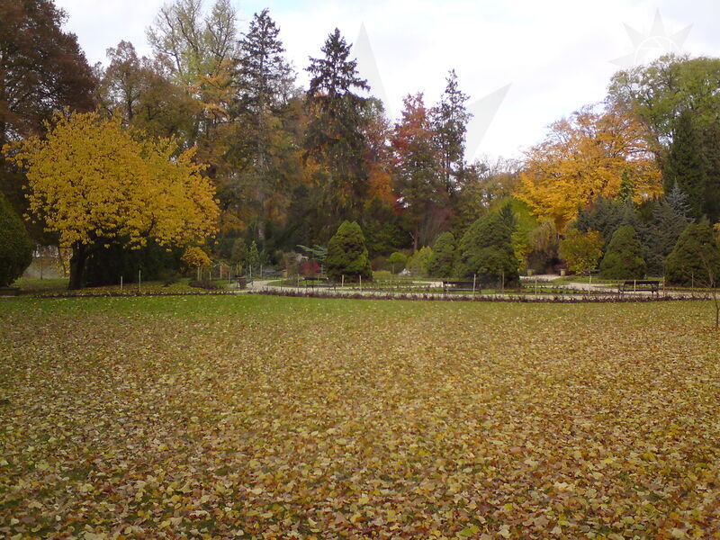 foto-4691.jpg