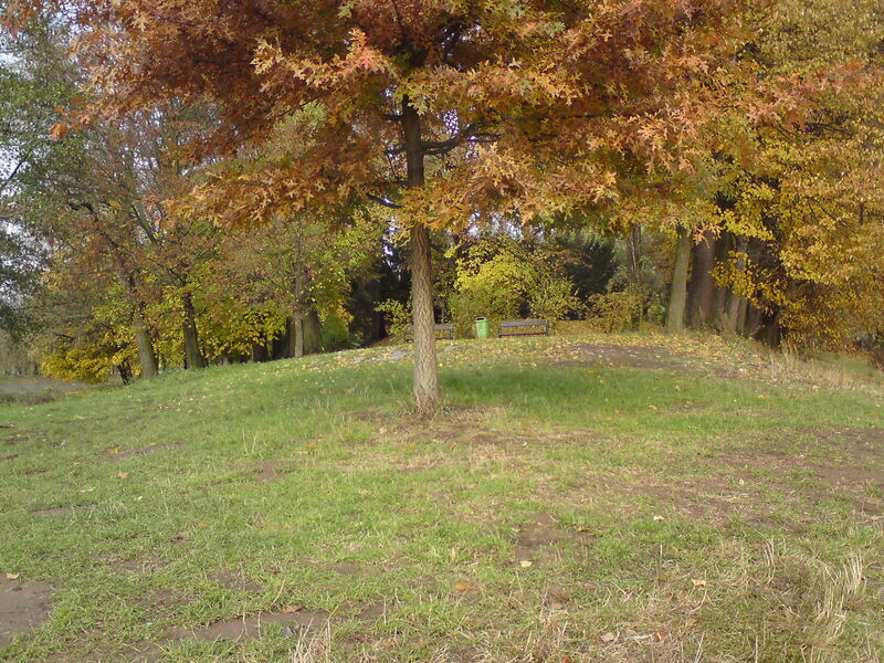 foto-4703.jpg