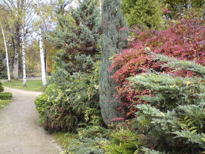 foto-4721.jpg