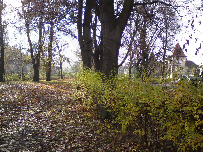 foto-4800.jpg